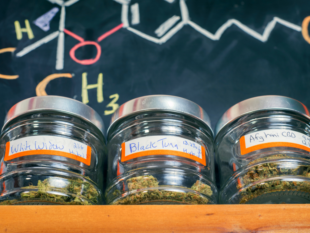 Do Humidors Work For Storing Weed?