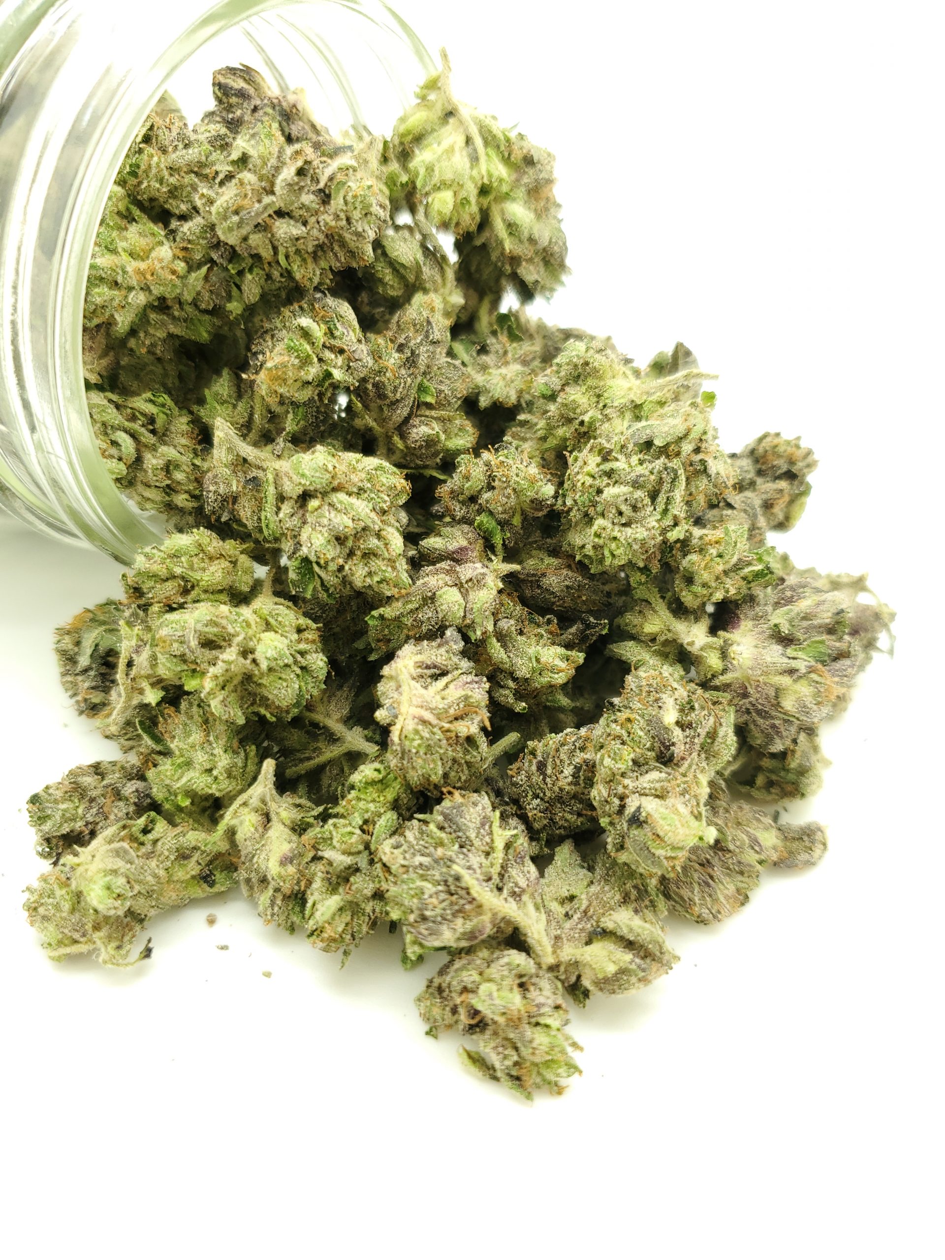 ($120/oz!) Pink Anxiety (small buds) (AAAA)