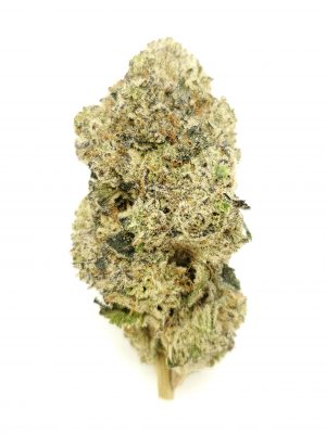 Nutter Butter (AAAA+)
