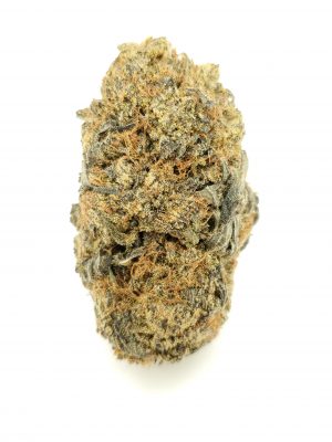 ($140/oz!!) Bay Dream (AAAA)
