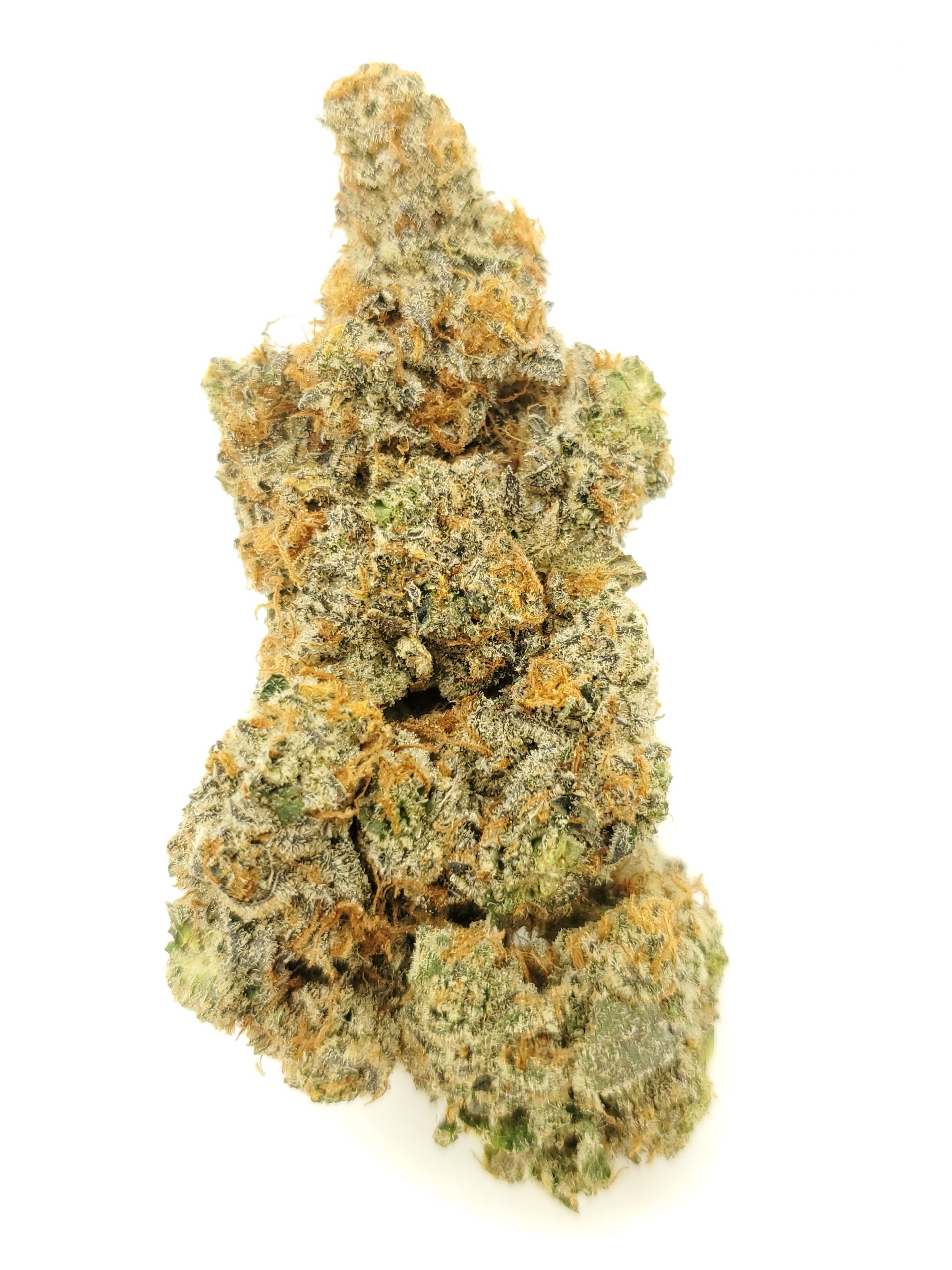 Platinum Garlic (AAAA+)