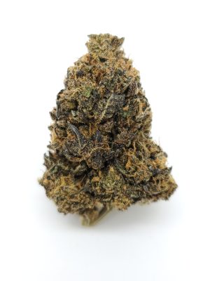 Milkman Jones (AAAA+)