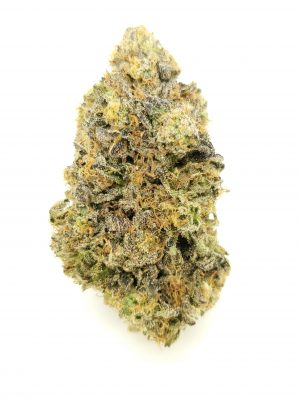 Pink Slurricane (AAAA+)