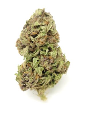 ($60/oz!!) Purple Poison (AAA)