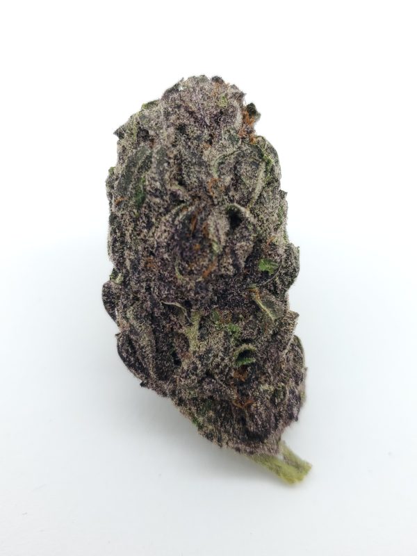 ($60/oz!!) Purple Poison (AAA)