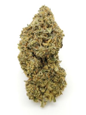 Lemon Hashplant (AAAA+)
