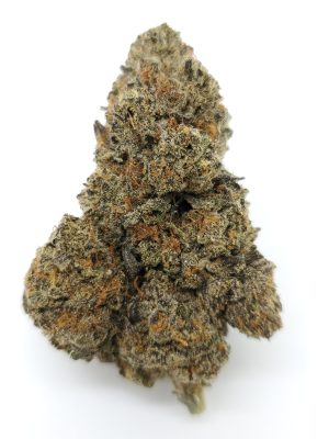 Kraken Black Pepper (AAAA+)