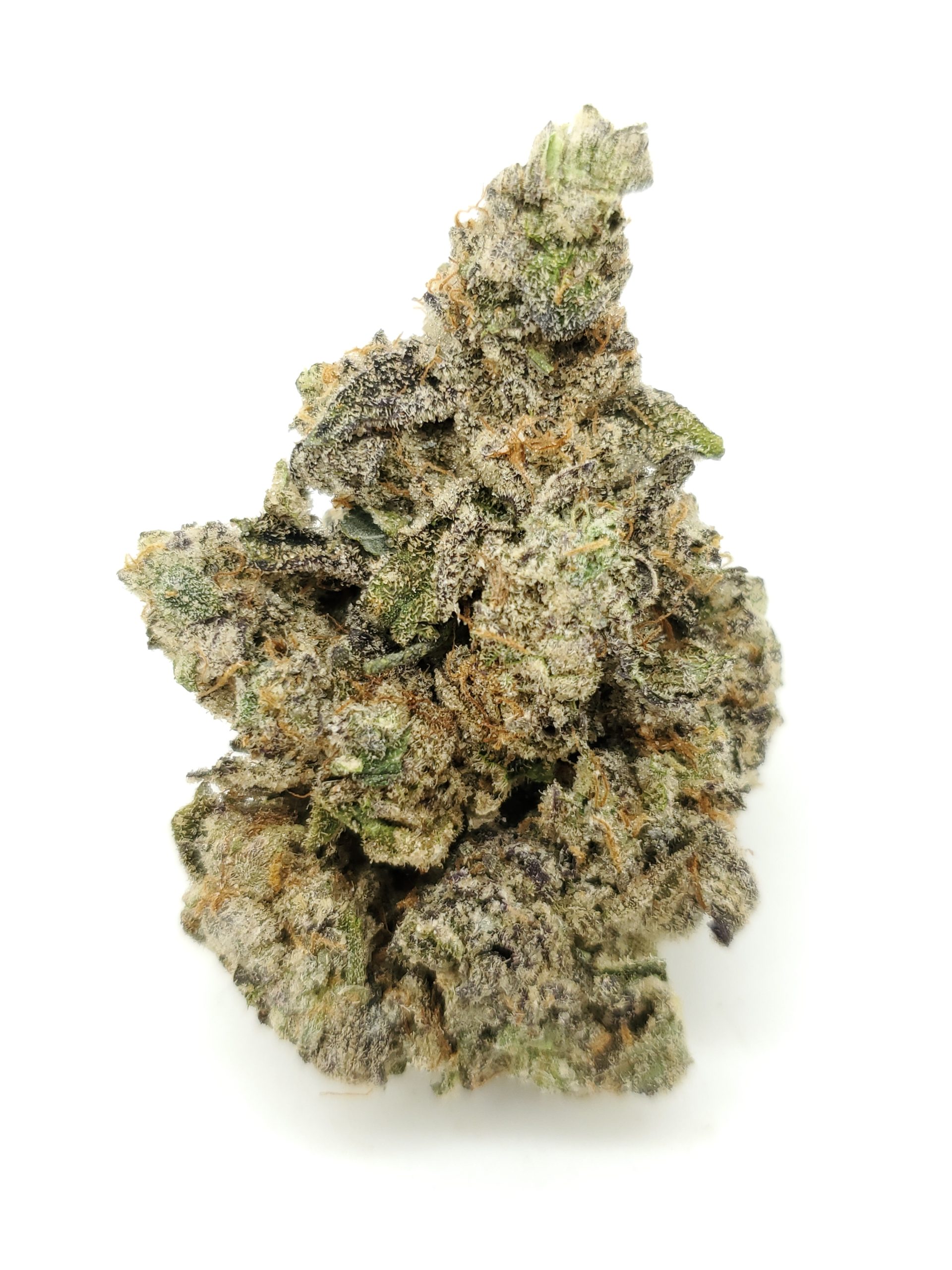 Northern Wreck (AAAA+)