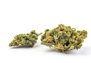 Buds Cannabis