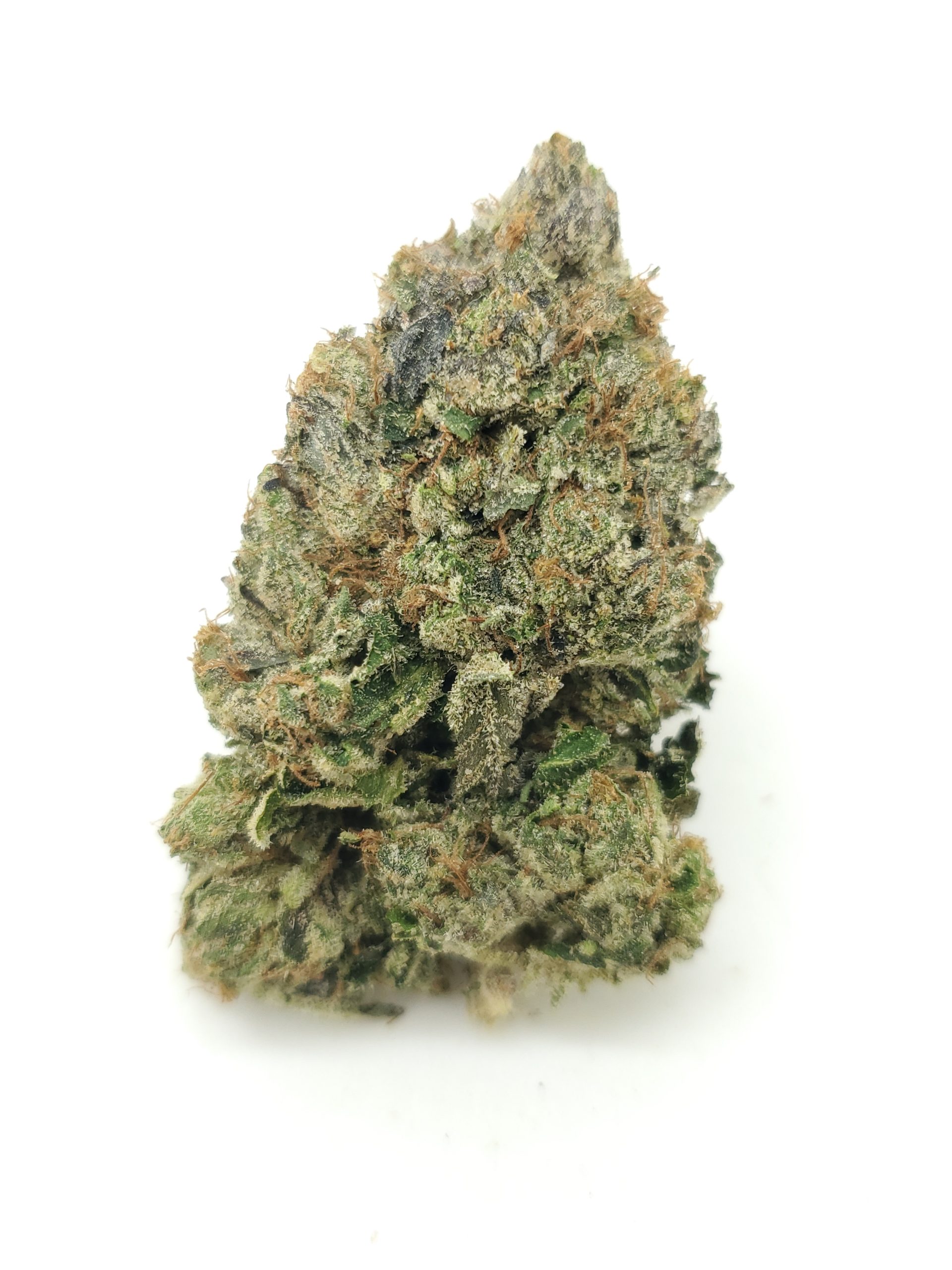 Dank Sinatra (AAAA+)