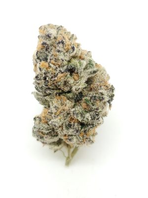 GMO Root Beer (AAAA+)