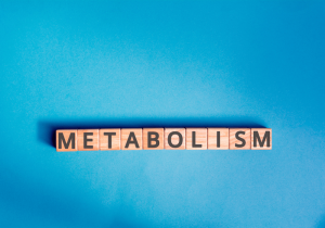 metabolism effects on edible duration