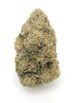 (20% Off!) 91 Octane (AAAA+)