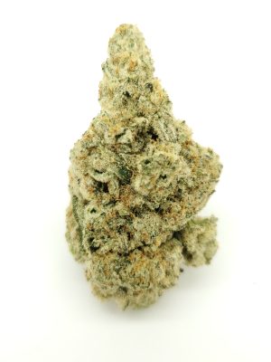 Captain America OG (AAAA+)