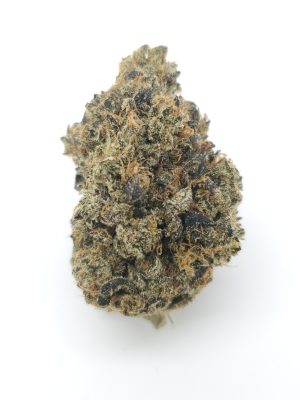 Diablo Wind (AAAA+)