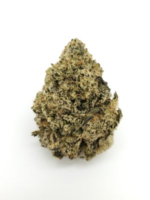 (20% Off!) Gold Face (AAAA+)