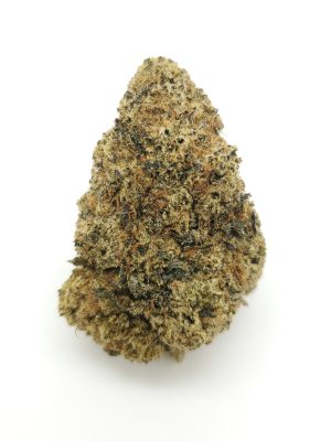 Alpine OG (AAAA+)