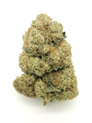 Grey Mist (AAAA+)