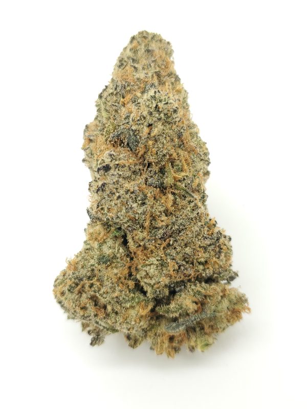 Kentucky Durban (AAAA+)