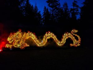 pumpkins after dark